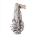 #deep-ash-gray Ponytail Human